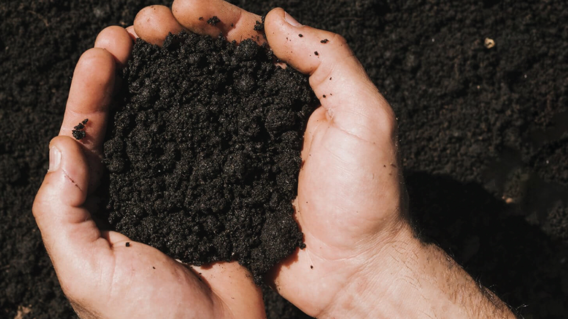 Producing Humic Acid-Based Organic Fertilizers